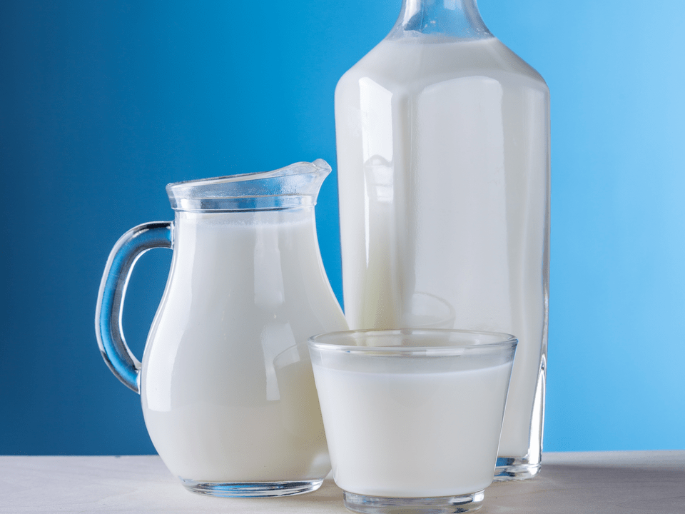 mliječni proizvodi osnova su kefir dijete