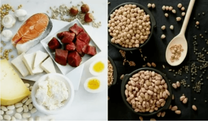 Primjeri proizvoda za prehranu proteina