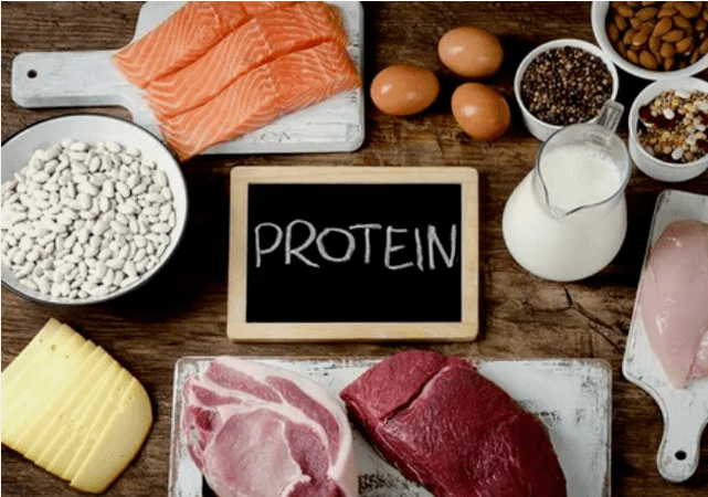 Proizvodi s proteinskim dijetama